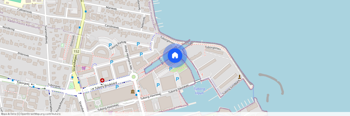 Tuborg Boulevard 24, st, TH, 2900 Hellerup