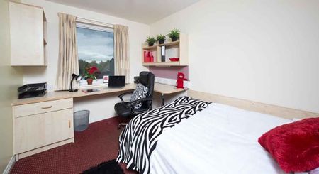 Premium Ensuite - Photo 5