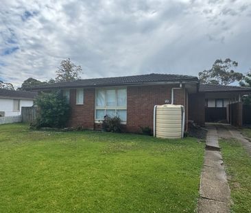 Three Bedroom Family Home Freshly Painted - Photo 1