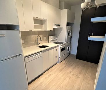 Bachelor Suite For Rent In Surrey/ Pets Allowed. - Photo 6