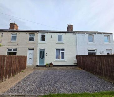 3 bedroom terraced house to rent - Photo 6