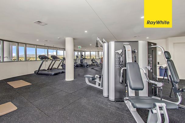 343/325 Anketell Street, Greenway ACT 2900 - Apartment For Rent | Domain - Photo 1