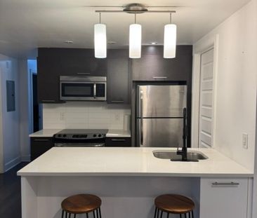 Nouveauté sur le marché Appartement à louer - Montréal (Ville-Marie... - Photo 3