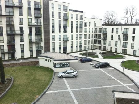 1 bedroom apartment to rent - Photo 5