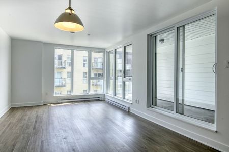 9675 Papineau - Photo 4