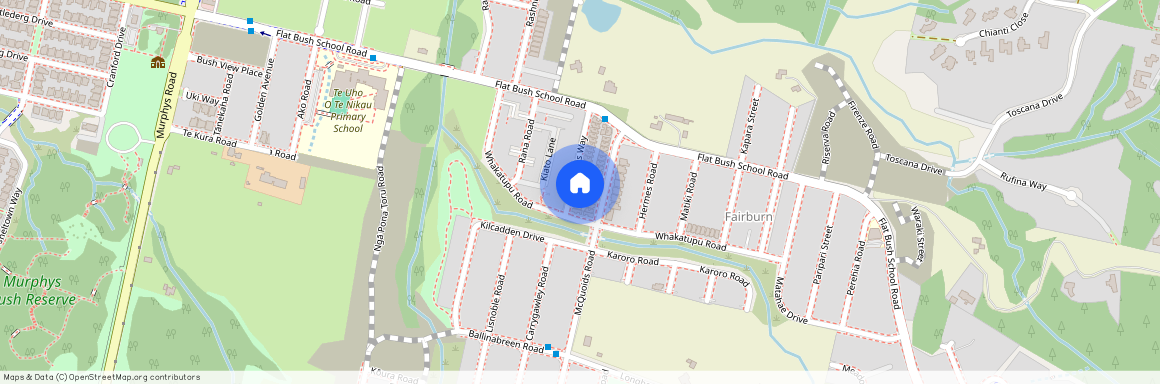 32 Artemis Way, Flat Bush, Manukau City