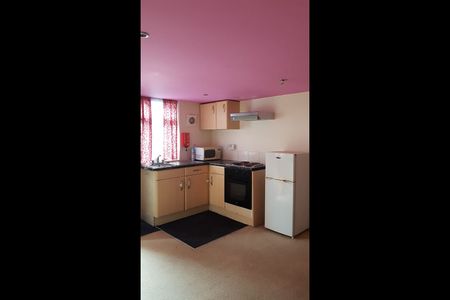 Studio Flat, Parkfield Row, LS11 - Photo 3