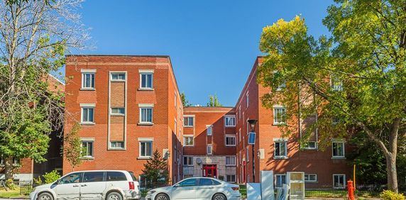 3 ½ - 7619 Christophe-Colomb, Montréal - Nord - Photo 2