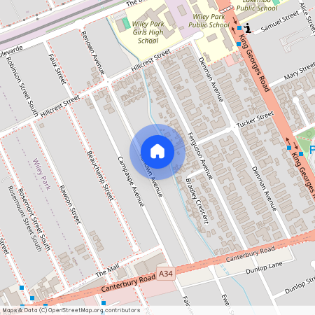 54 Renown Street, NSW 2195, Wiley Park