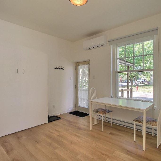 Studio entièrement meublé et refait à neuf - Photo 1