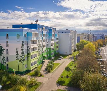 Seniorengerechte Zwei-Raum-Wohnung - Foto 1