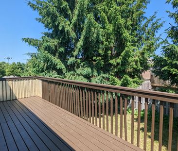 For Lease - 76 Srigley Street, Barrie, Ontario - Photo 2