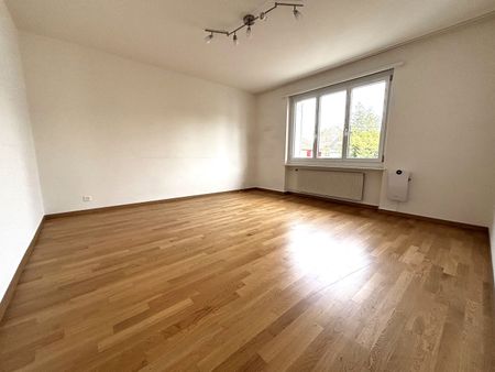 Great apartment in a central location! - Photo 4