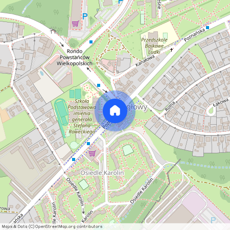 Koziegłowy, Czerwonak, poznański, wielkopolskie