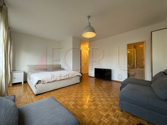 Beautiful furnished 2-room apartment in a quiet location in Champel - Photo 1