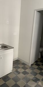 Location Appartement 1 pièce 25m² ANNONAY 07100 - Photo 3