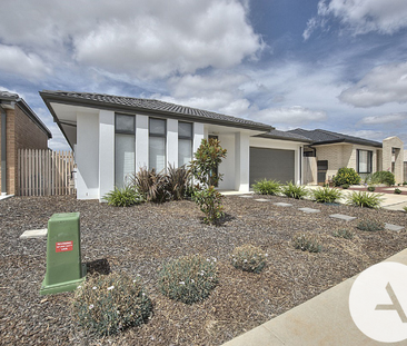 6 Epstein St, Franklin ACT 2913 - House For Rent | Domain - Photo 5