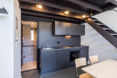 Te huur: Appartement Burgemeester Michiels van Kessenichpassage in Maastricht - Photo 5