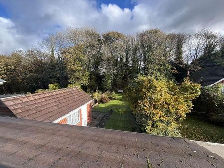 Stanley Avenue, St Helens, WA11 - Photo 4