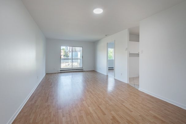 Appartement - 108-15 Rue Waterman - Photo 1