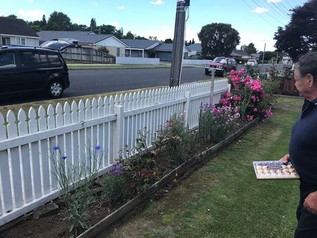 Charming 3BR Home with Garden - Te Awamutu - Photo 3