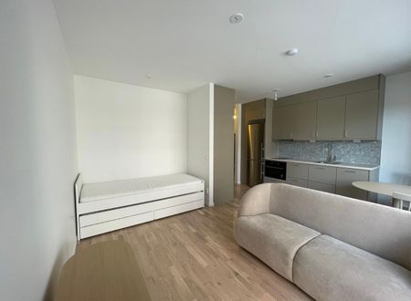 Vintergaloppsgatan, Täby - Photo 4