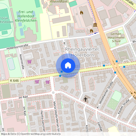 Dotzheimer Str. 117, 65197, Wiesbaden Ot Westend