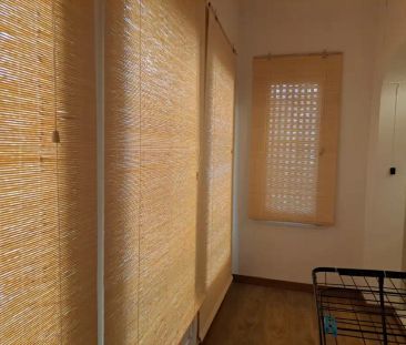 Puigcerdà - Foto 1