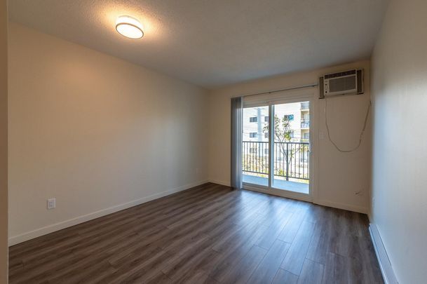 1 Bedroom - Renovated - Photo 1