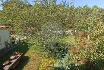 Moradia T4 em Viana do Castelo