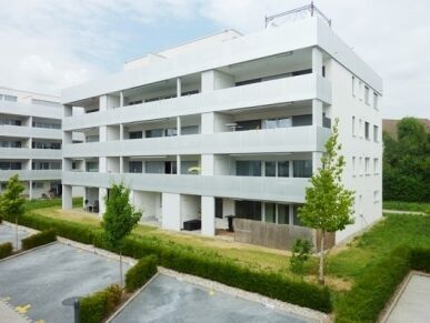 Grosszügige und moderne Wohnung mit Sitzplatz in Villmergen - Photo 1