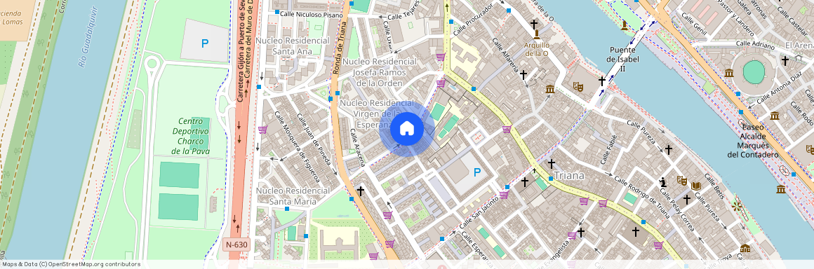 Calle San Vicente de Paúl, Sevilla, Andalusia 41010