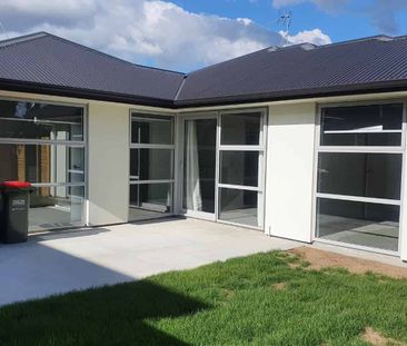 Brand New Two Bedroom Unit - Photo 4