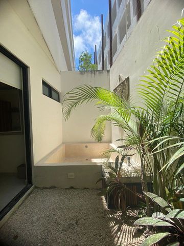 Dk Tulum 6 - Photo 4