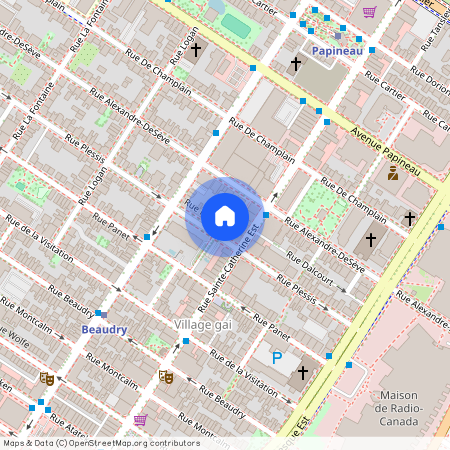 1415 Rue Plessis, app. 2, Montréal (Ville-Marie), H2L2X2