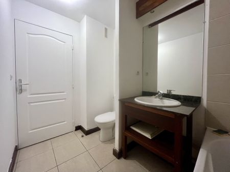Location Appartement 1 pièce 30m² ST DENIS 97400 - Photo 3