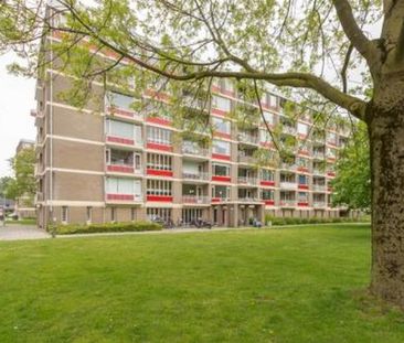 Ringweg Randenbroek 3816 CG Amersfoort - Foto 1