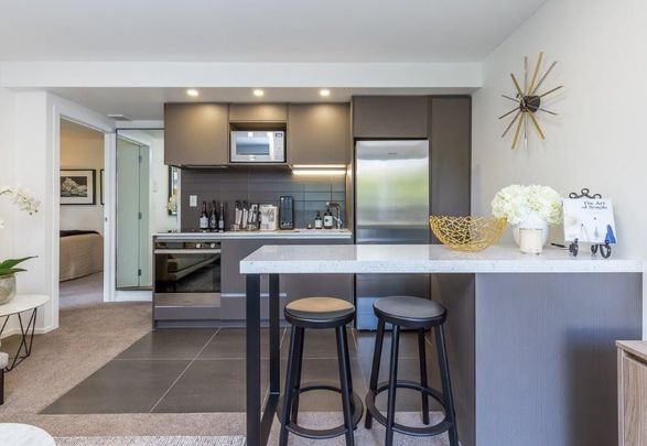 Luxury Furnished Apartment with One Secure Carpark - Photo 1