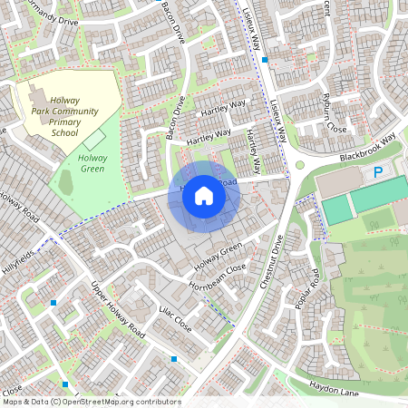 Lower Holway Close, Taunton, TA1