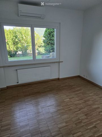 3.5 appena rinnovato, grande giardino privato, due posteggi - Photo 4