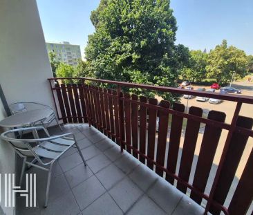 Pronájem bytu 2+1 v centru po celkové rekonstrukci - Photo 1
