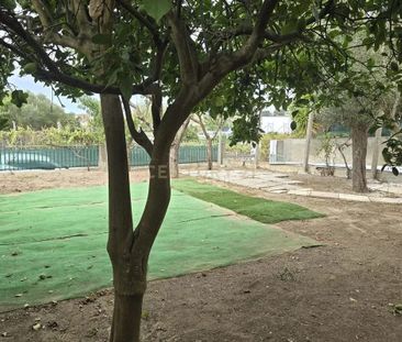 Caparica e Trafaria, Setúbal Municipality - Photo 6