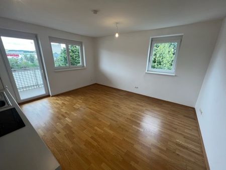 PROVISIONSFREI – Jakomini – 56 m² – 3 Zimmer – WG geeignet – großer Westbalkon – Top Zustand - Foto 5