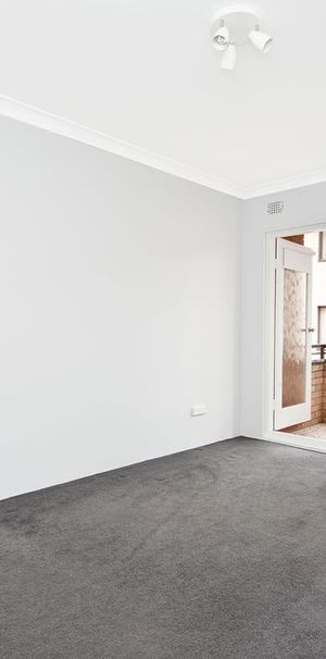 INNER WEST LIVING AT ITS BEST! - Photo 1