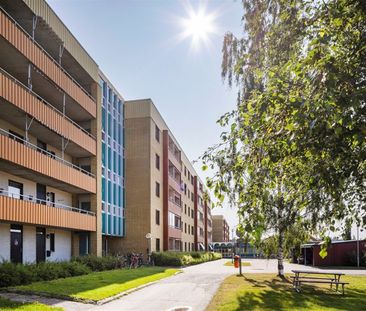 Anderstorg 10 C - Photo 4