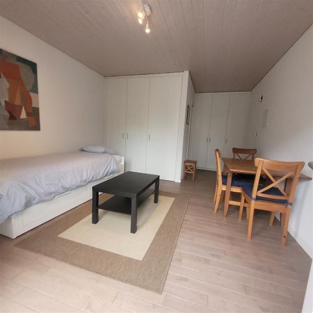 1.5 room apartment - Photo 3