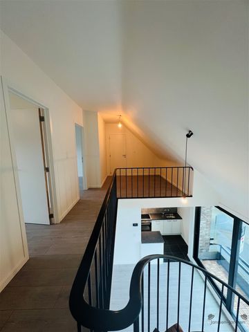 Gerenoveerd duplexappartement met 2 slpkmrs - Foto 4