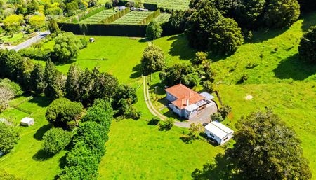 Golden Mile Goodie - Photo 5