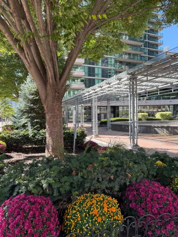 For Lease - 33 Bay Street Unit# 214, Toronto, Ontario - Photo 5