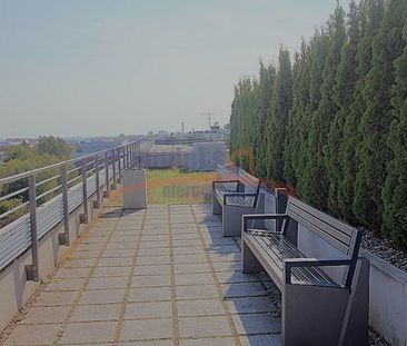 Centrum, Szczecin - Photo 6